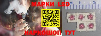 гидропоника Моздок