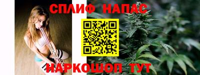 мдпв Можга