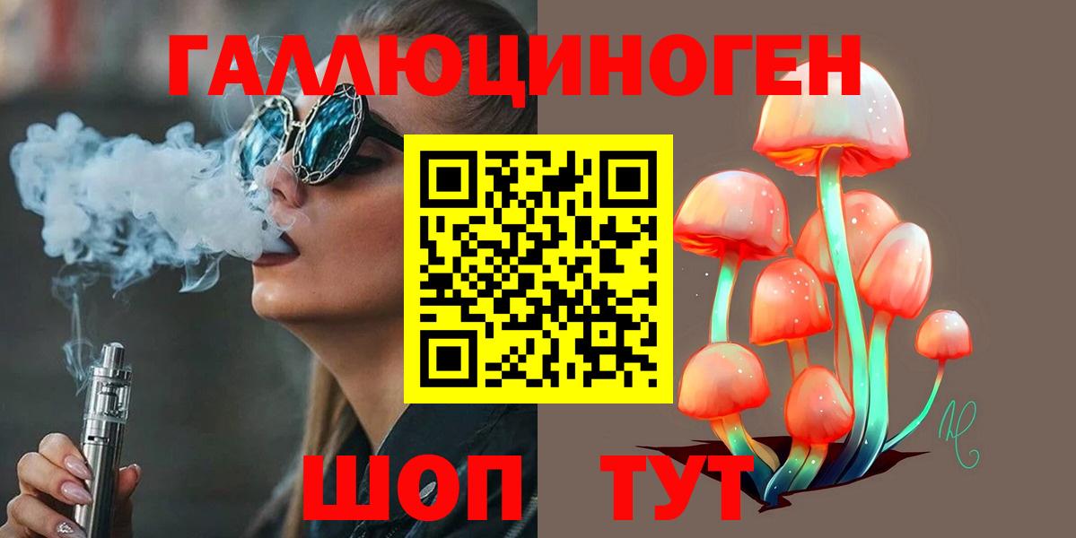 Псилоцибиновые грибы прущие грибы  Вход с VPN  Чернушка  Псилоцибиновые грибы Psilocybine cubensis 